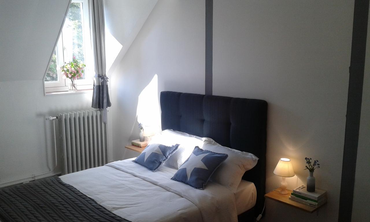 Bed and Breakfast La Sauldre Vailly-sur-Sauldre Exterior foto
