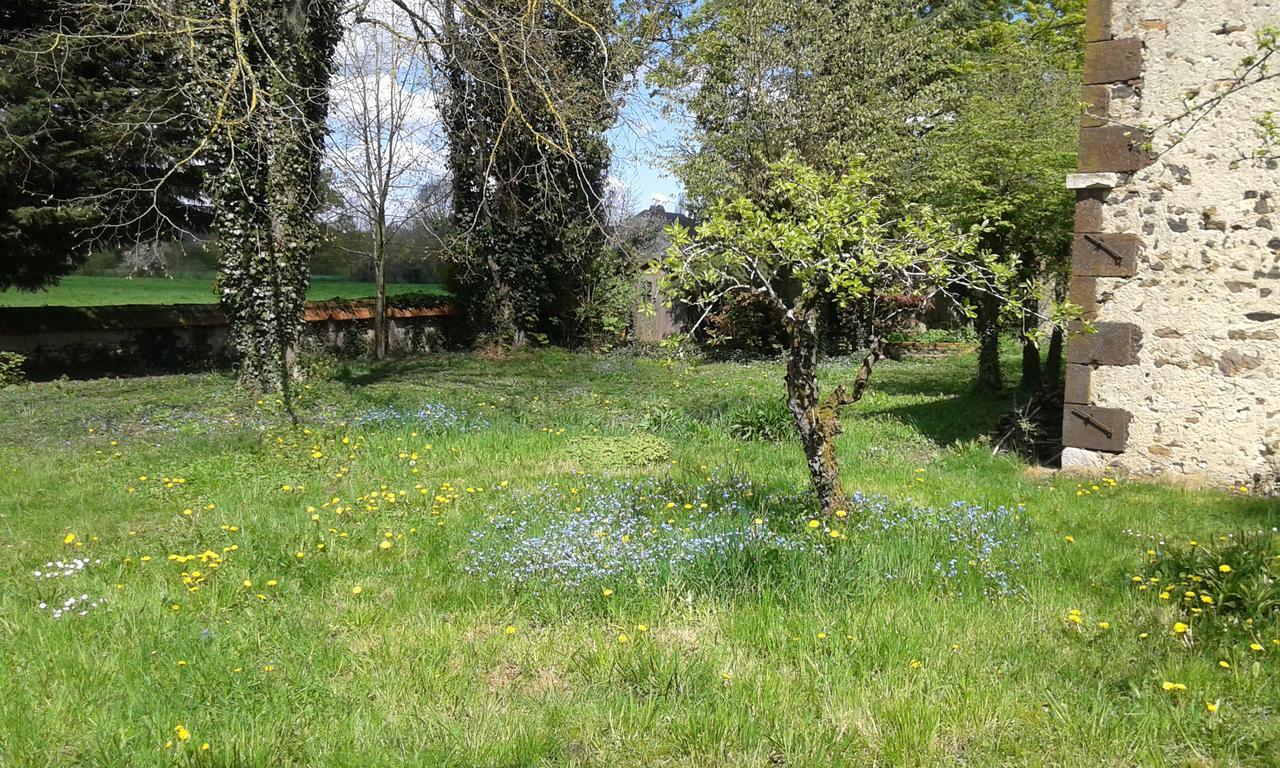 Bed and Breakfast La Sauldre Vailly-sur-Sauldre Exterior foto