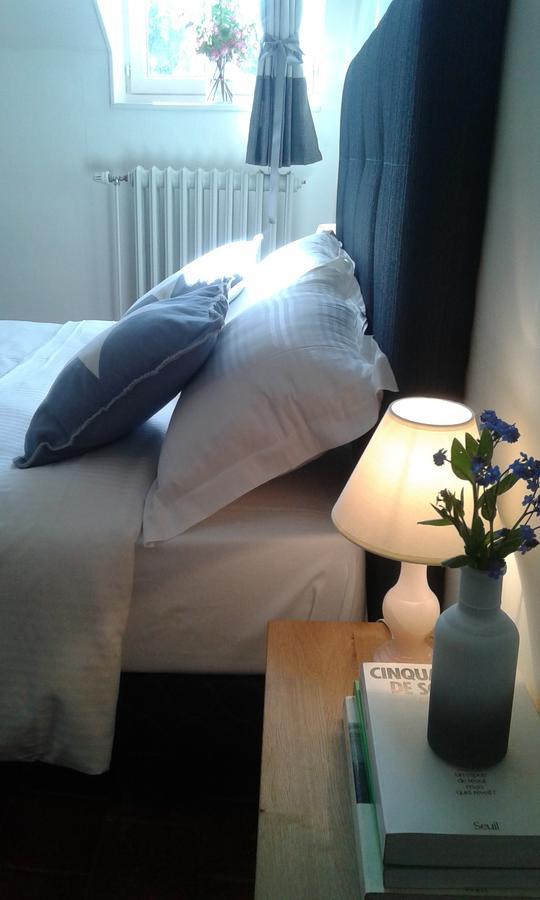 Bed and Breakfast La Sauldre Vailly-sur-Sauldre Exterior foto